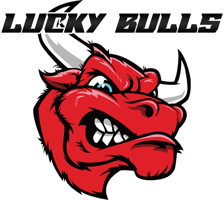 Lucky Bulls Logo