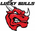 Lucky Bulls Dartteam