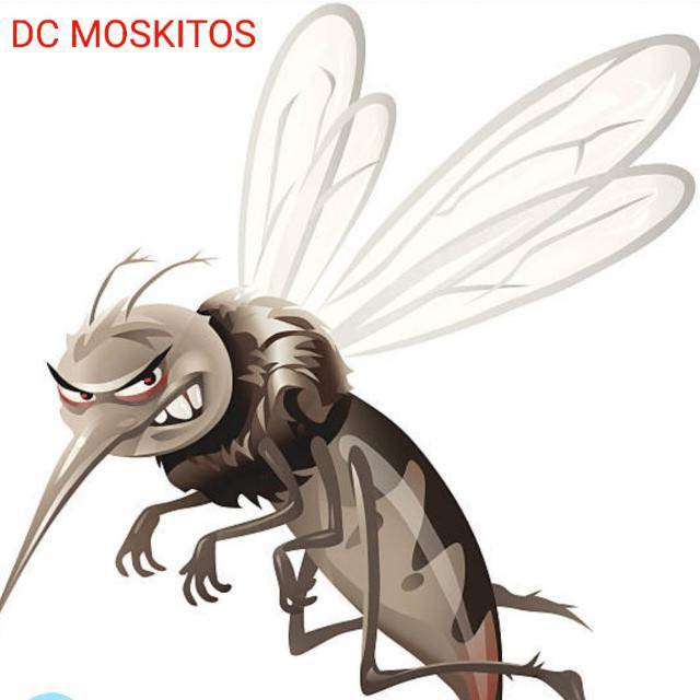 DC Moskitos